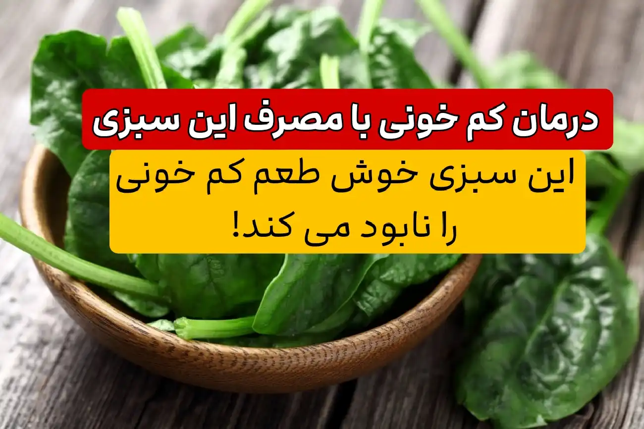 درمان کم خونی با مصرف این سبزی| این سبزی خوش طعم کم خونی را نابود می کند!